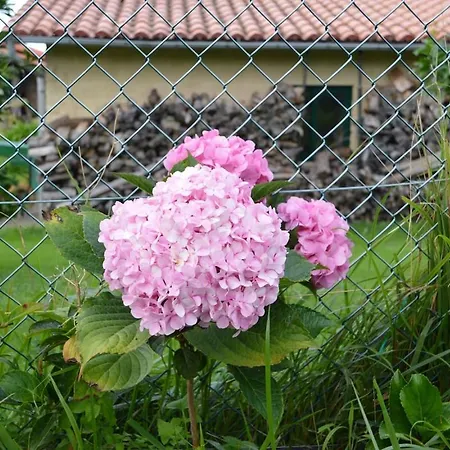 Pepe Pastora * Santa Maria de Arroes