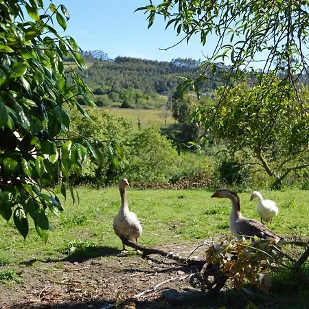 Pepe Pastora - Casa Grande بيت للعطل *