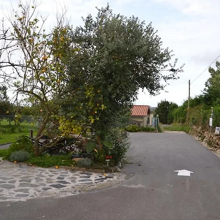 Pepe Pastora - Casa Grande *