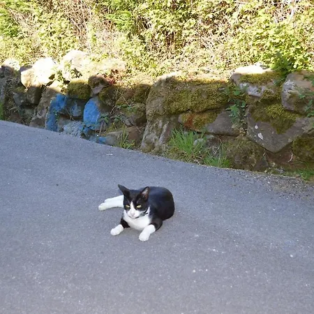 Pepe Pastora - Casa Grande